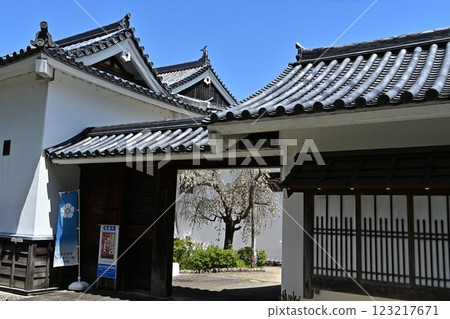 Fukuchiyama Castle in spring 123217671