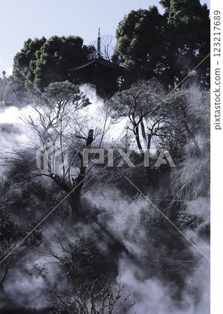 雲霧繚繞的森林:東京椿山莊酒店的雲海 雲霧繚繞的森林:東京椿山莊酒店的雲海 123217689