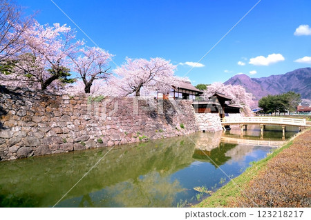 海津城公園的櫻花 123218217