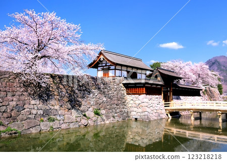 海津城公園的櫻花 海津城公園的櫻花 123218218