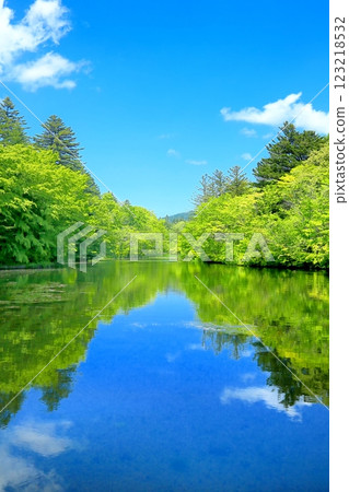 新鮮的綠色雲池 123218532