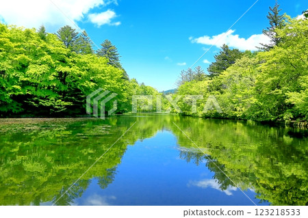 Fresh green cloud pool 123218533