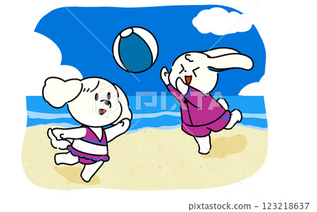 一隻穿著泳衣的兔子和一隻狗在晴朗的天空和美麗的藍色海水的海灘上玩沙灘排球 123218637