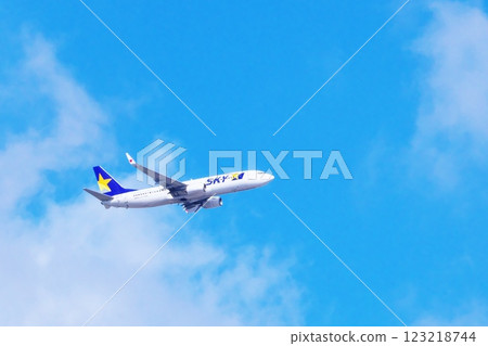 A passenger plane, Boeing 737-800, flying in the clear blue sky A passenger plane, Boeing 737-800, flying in the clear blue sky 123218744