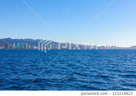 夏威夷的海洋和威基基酒店 123218923