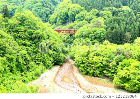 Fresh greenery in Matsukawa Valley 123219064
