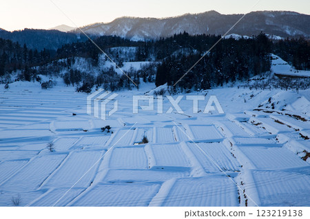 Snow-covered rice terraces of Sawaradaira 123219138