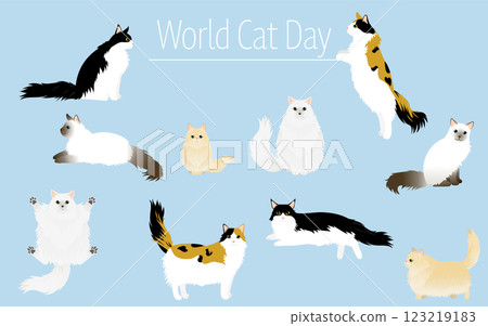 World Cat Day, long-haired cat set (Persian, Maine Coon, Norwegian Forest Cat, Balinii 123219183
