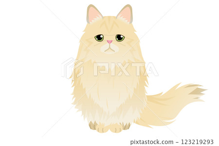 一隻長毛金色波斯貓坐著看著鏡頭的插圖 123219293