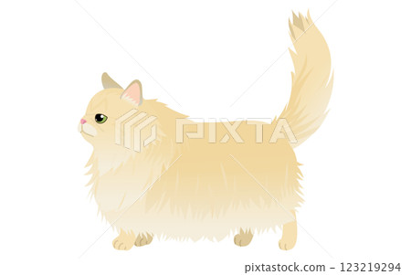 一隻長毛貓（金色波斯貓）的插圖，它豎起尾巴走路 123219294