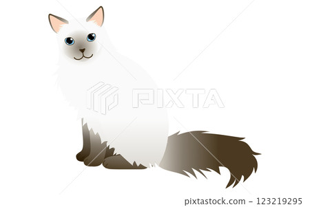 一隻長毛貓的插圖，一隻巧克力色的峇裡貓（暹羅長毛貓）坐著看著鏡頭 123219295