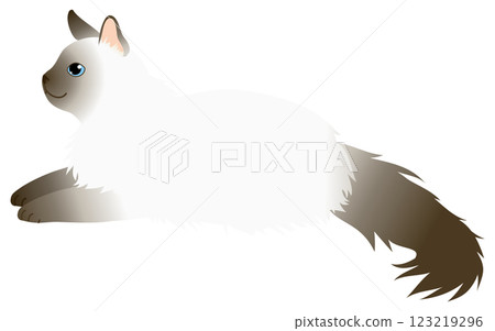 一隻帶有巧克力色斑點的巴厘島長毛貓躺著的插圖 一隻帶有巧克力色斑點的巴厘島長毛貓躺著的插圖 123219296