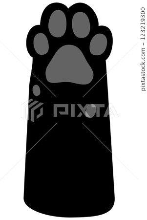 Black cat's front paws, black paws 123219300