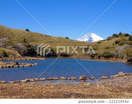 Mount Fuji as seen from Lake Korigake on Mount Gendake 123219542