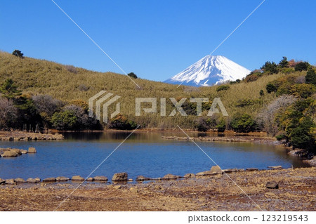 Mount Fuji as seen from Lake Korigake on Mount Gendake 123219543