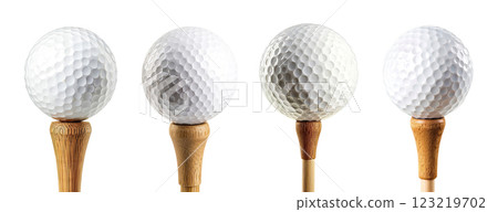 Golf Ball 123219702