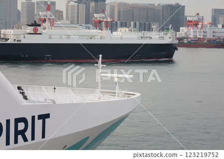 東京國際郵輪碼頭 123219752