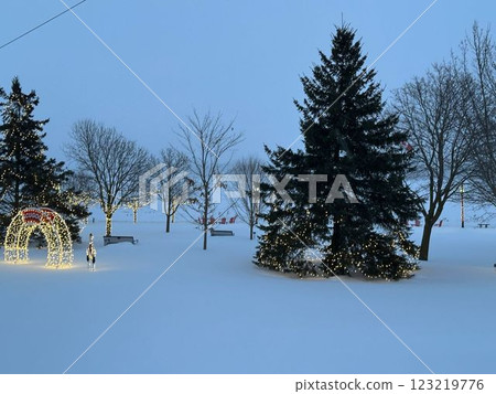 Port Perry, Canada in the winter 123219776