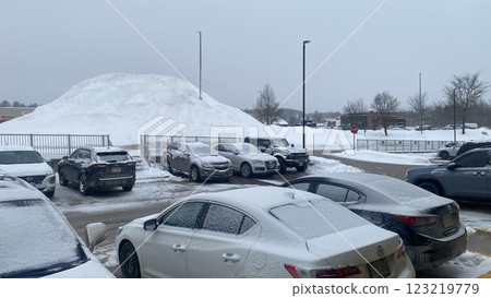 Snow in Canada in winter 123219779