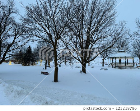 Skugog Lake, Port Perry, Canada in winter 123219786