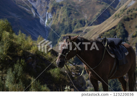 A brown horse with a saddle stands on a grassy mountain slope 123220036