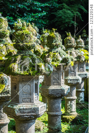 Rows of moss-covered stone lanterns 123220148