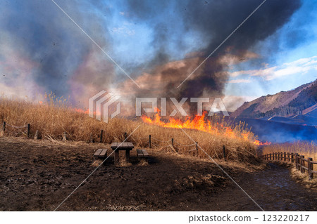 2025 年 2 月 15 日山火發生當天的曾尼高原。 123220217