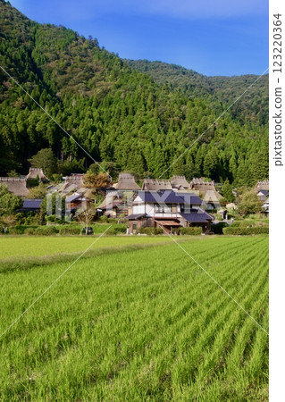 Miyama Thatched Village (Miyama Town, Kyoto) Miyama Thatched Village (Miyama Town, Kyoto) 123220364