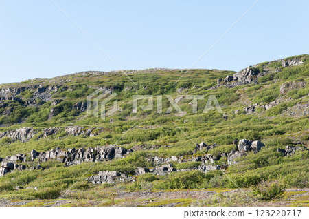 Rocky hillside covered with greenery 123220717