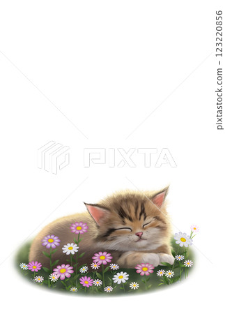 睡貓背景 c-1 睡貓背景 c-1 123220856