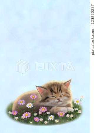Sleeping cat background c-2 Sleeping cat background c-2 123220857