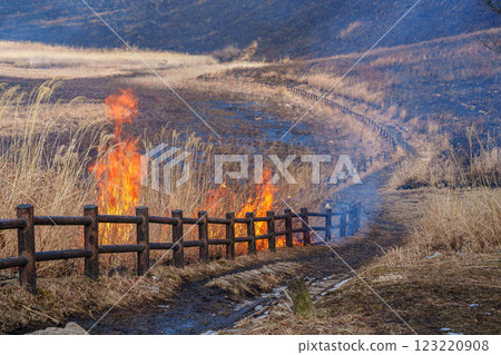February 15, 2025 Soni Plateau on the day of the mountain burning. The mountain burning is lit in the square at the entrance. 123220908