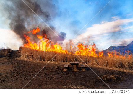 On the day of the mountain burning on February 15, 2025, Soni Plateau, the mountain burning is lit in the square at the entrance ⑨ 123220925