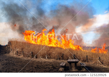 On the day of the mountain burning on February 15, 2025, Soni Plateau, the mountain burning is lit in the square at the entrance ⑧ 123220926