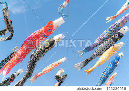 鯉魚stream在藍藍的天空中游泳 123220956
