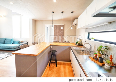 Stylish kitchen and open-air living room 123221010