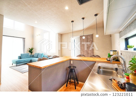 Stylish kitchen and open-air living room Stylish kitchen and open-air living room 123221011