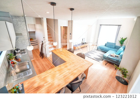 Stylish kitchen and open-air living room 123221012