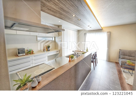 Fashionable kitchen 123221045