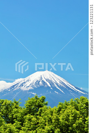初夏的藍天、新綠、富士山 123221131