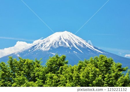 初夏的藍天、新綠、富士山 初夏的藍天、新綠、富士山 123221132