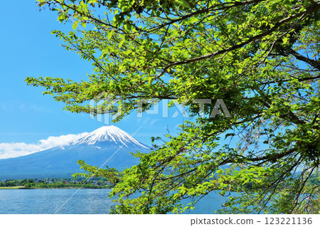 Early summer blue sky and fresh green scenery, and Mt. Fuji 123221136