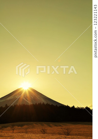 Diamond Fuji 123221143