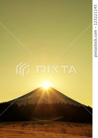 Diamond Fuji Diamond Fuji 123221145