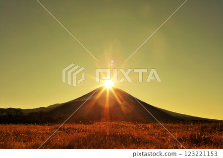 Diamond Fuji 123221153