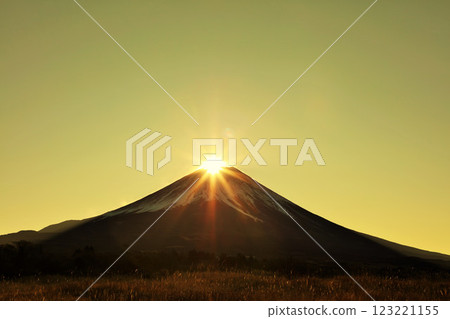 Diamond Fuji 123221155