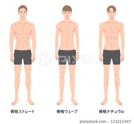男性骨骼診斷3種類型 體型 骨骼類型 男性骨骼診斷3種類型 體型 骨骼類型 123221497