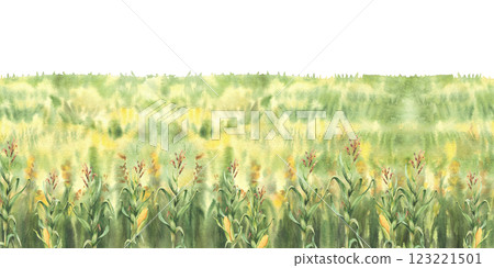 Cornfield, golden maize field watercolor painted seamless border. Landscape, farm nature view background. Agricultural field with sweet maize cobs green plant and yellow flowers. Isolated illustration 123221501