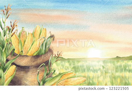 Sack of corncobs with maize plant and cobs. Watercolor landscape with cornfield against sunset sky. Canvas bag with harvested farm crop vegetables. Hand painted illustration Isolated from background. Sack of corncobs with maize plant and cobs. Watercolor landscape with cornfield against sunset sky. Canvas bag with harvested farm crop vegetables. Hand painted illustration Isolated from background. 123221505