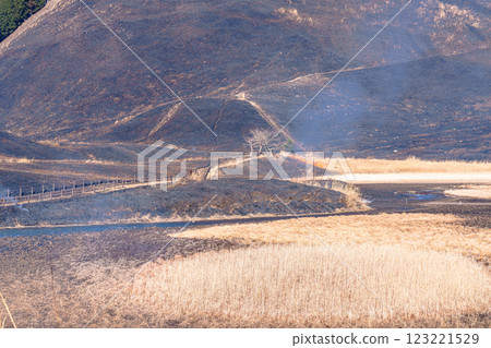 Soni Plateau on the day of the mountain burning on February 15, 2025 Soni Plateau after the mountain burning 4 Soni Plateau on the day of the mountain burning on February 15, 2025 Soni Plateau after the mountain burning 4 123221529